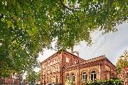 Agentur zwetschke - GALLERY
