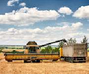 Agrargut Malkwitz KG - GALLERY