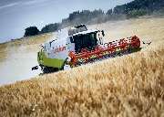 Agrargut Malkwitz KG - GALLERY