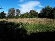 Agrarservice Peters / Gala-Bau - IMG-20221020-WA0014.jpg