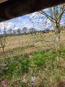 Agrarservice Peters / Gala-Bau - IMG-20230423-WA0015.jpg