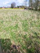 Agrarservice Peters / Gala-Bau - IMG-20230423-WA0016.jpg