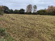 Agrarservice Peters / Gala-Bau - IMG20221021170247.jpg