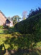 Agrarservice Peters / Gala-Bau - IMG_20241005_104738_983.jpg