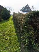 Agrarservice Peters / Gala-Bau - IMG_20250221_111329_486.jpg