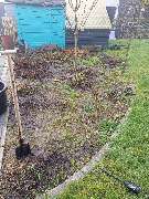 Agrarservice Peters / Gala-Bau - IMG_20250301_090129_915.jpg