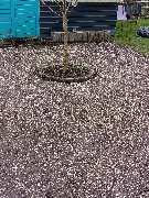 Agrarservice Peters / Gala-Bau - IMG_20250301_113208_165.jpg