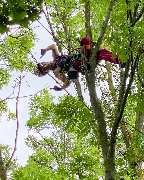 AGRO PIONIK - GALLERY