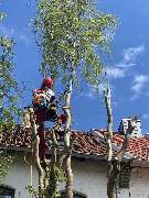 AGRO PIONIK - GALLERY