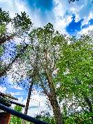 AGRO PIONIK - GALLERY