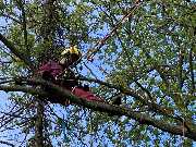 AGRO PIONIK - GALLERY