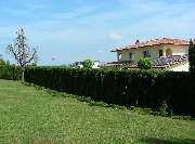 AGS Garten-und Landschaftsbau - 11