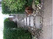 AGS Garten-und Landschaftsbau - 8