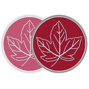 Ahorn-Apotheke im Zentrum - Logo der Ahorn-Apotheke im Zentrum