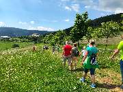 AHORN Hotel Am Fichtelberg - Wandern im Erzgebirge