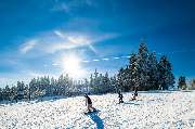 AHORN Waldhotel Altenberg - Wintersport in Altenberg