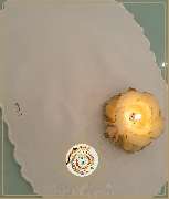 Akcay - Eure Spitzenwelt - GALLERY