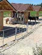 Aktivstall Dirnberg - GALLERY