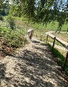 Aktivstall Dirnberg - GALLERY