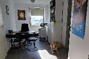 Aktuell Lohnsteuerhilfeverein e.V. - Montabaur - GALLERY