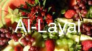 Al-Layal  Orientalisches Catering Berlin & Brandenburg - GALLERY