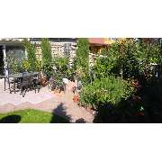 Alba Garten- und Landschaftsbau - GALLERY