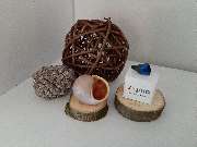 Albrechts Hörwelten - GALLERY