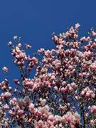 Aleido GmbH Köln - Aleido Köln