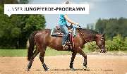 Alex Mundorff Western Riding & Country Lifestyle - Reitshop - GALLERY