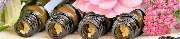 Alexa Pitz-Feuring - GALLERY