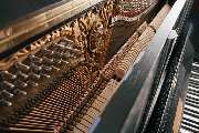 Alexander Ostrovski - Klavierstimmer / Techniker - Detailaufnahme der Klaviermechanik mit Saiten, Hämmern und kunstvoller Verzierung. Veranschaulicht die präzise Handwerkskunst im Klavierbau.