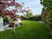 AlexandruGartenBau - 1