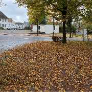 All Around Service - 12