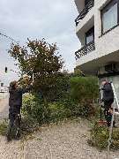 All Around Service - 14