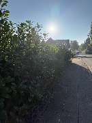 All Around Service - 15