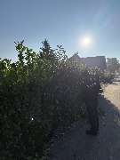 All Around Service - 16