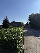 All Around Service - 3