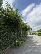 All Around Service - 4