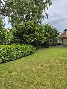 All Around Service - 8