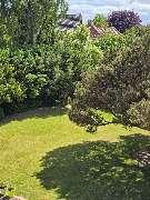 All Around Service - 9