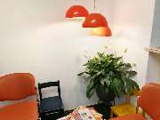 Allgemeinarzt | Gemeinschaftspraxis Dr. P. Weber & F. Schlensog | München | Haidhausen - Wartebereich - Allgemeinarzt | Gemeinschaftspraxis Dr. P. Weber & F. Schlensog | München