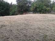 Allround Dienstleistungen Jörg Jattke - Baumdienst