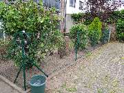 Allrounder Concept Hausservice & Verwaltung Michael Brandt - Maschendrahtzaun Neu