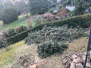 Allrounder-Masters Nezel - 4