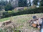 Allrounder-Masters Nezel - 5