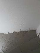 Allrounder-Masters Nezel - 6