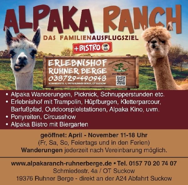 Alpaka Ranch Ruhner Berge - GALLERY