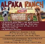 Alpaka Ranch Ruhner Berge - GALLERY