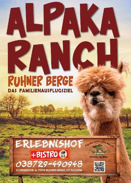 Alpaka Ranch Ruhner Berge - GALLERY