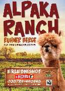 Alpaka Ranch Ruhner Berge - GALLERY